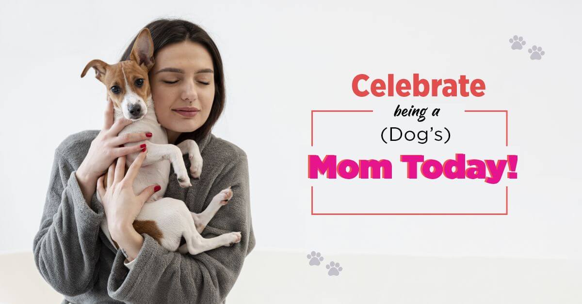 Lets-Celebrate-Being-a-Dog-Mom-Today