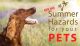 Summer-Hazards-for-Your-Dog