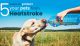 5-ways-to-protect-your-pets-from-heatstroke