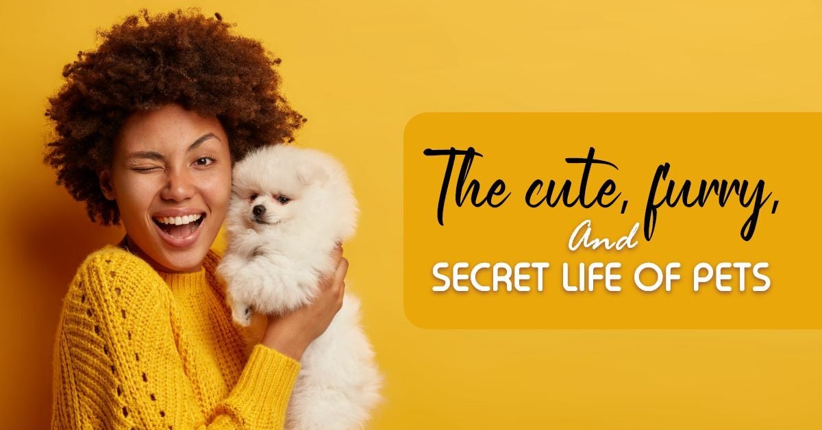 The-Cute-Furry-and-Secret-Life-of-Pets