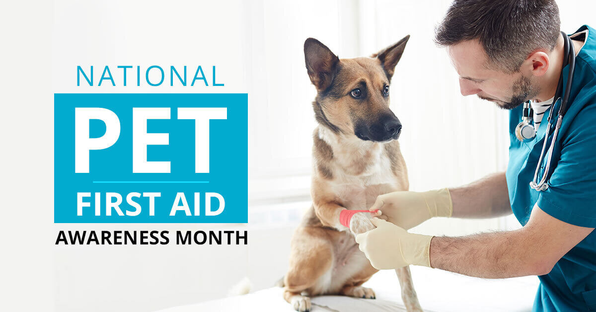 National pet first aid Month