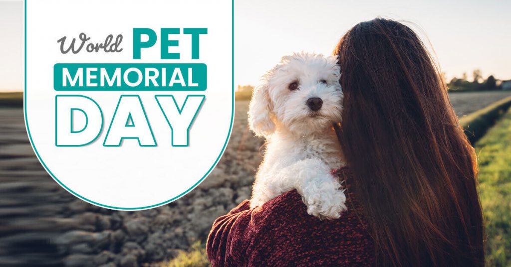 World Pet Memorial Day Memorial Day Blog Waggle