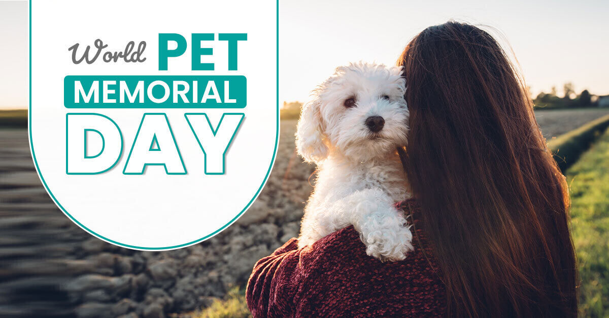 world-pet-memorial-day