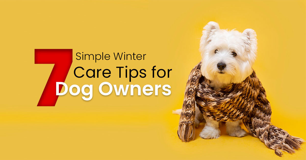 7-Simple-Winter-Care-Tips-for