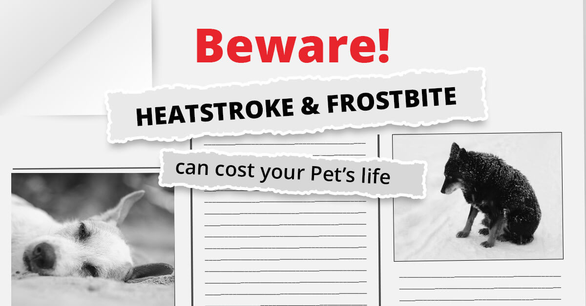 Beware-Heat-stroke-blog-banner