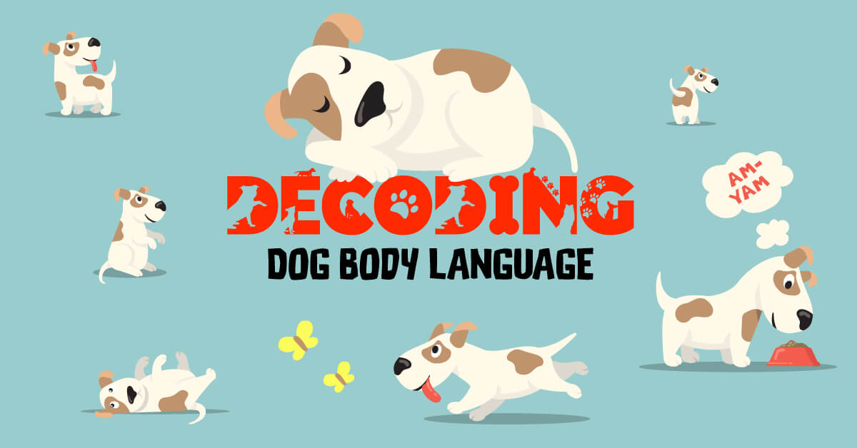 Decoding-Dog-Body-Language