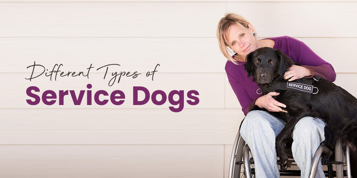 Different-Types-of-Service-Dogs