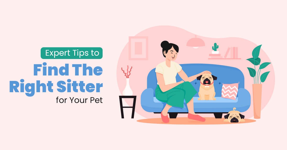 Find-the-Right-Sitter-for-Your-Pet