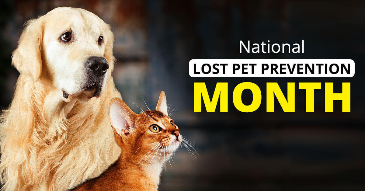 National_Lost_Pet_Prevention_Month