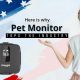 Here-is-why-Pet-Monitor-blog