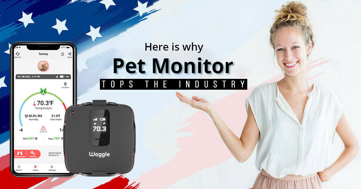 Here-is-why-Pet-Monitor-blog